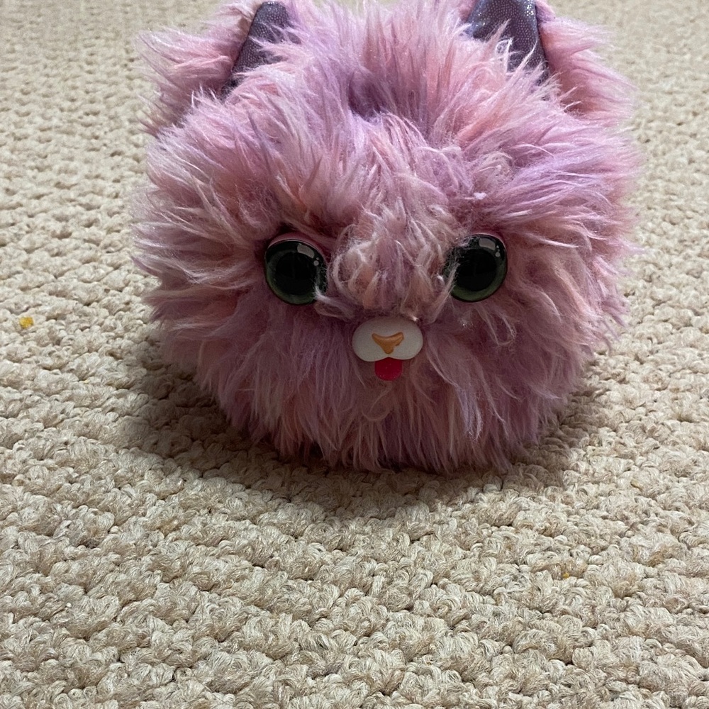 Fur fluffs purplish  Fluffy Cat interactive Toy